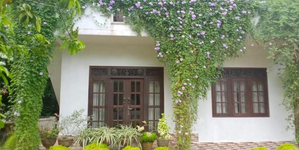 Abha Villa Галле Экстерьер фото