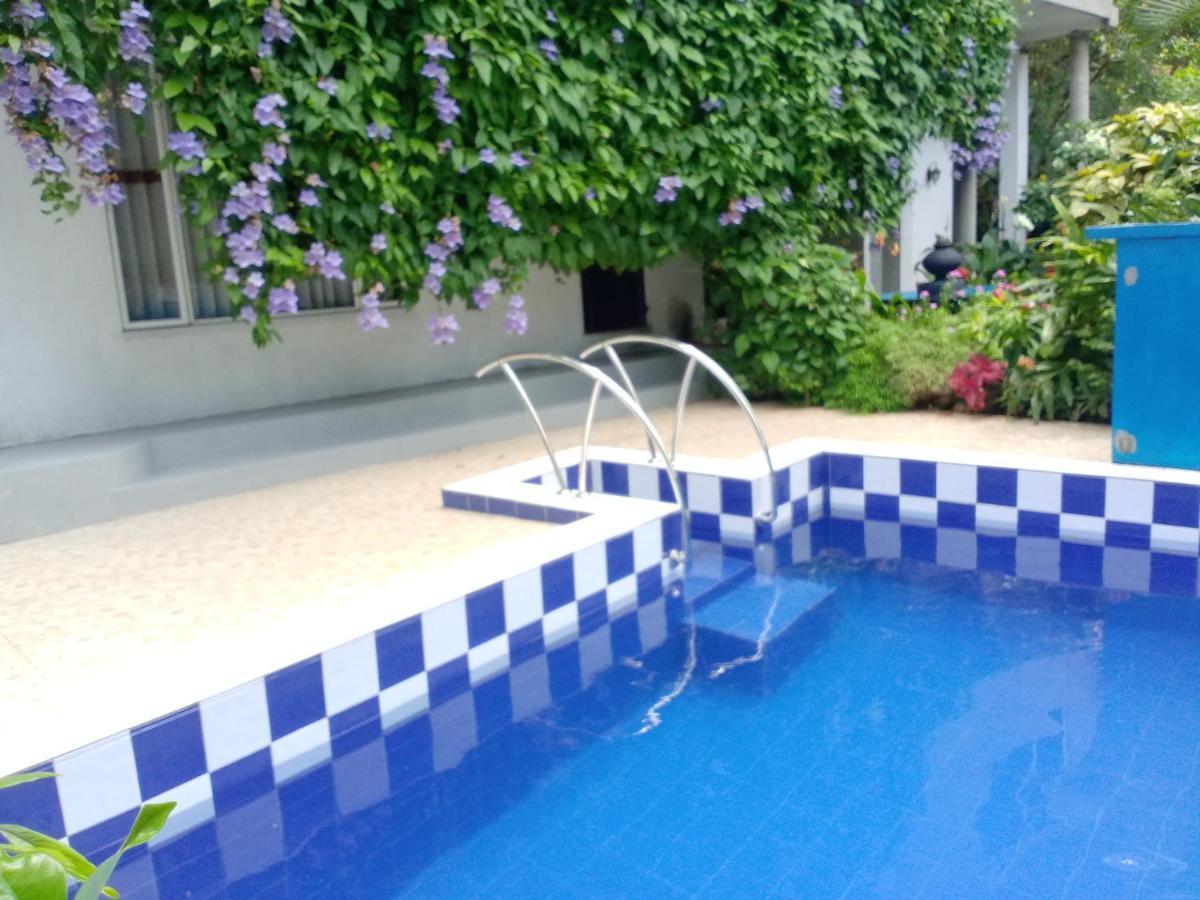 Abha Villa Галле Экстерьер фото